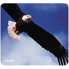 Click here to buy Allsop Bald Eagle Mouse Pad - Mouse pad by Allsop.