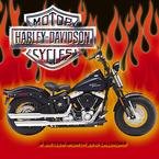 Harley-Davidson 2010 Wall Calendar