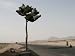 Afghan Men Wait at the Main Road Outside Herat's Airport Afghanistan Photographic Pos...