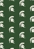 Michigan State Spartans 7 8 x 10 9 Team Repeat Area Rug
