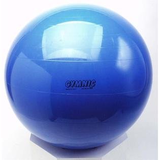 Ball Dynamics Fitball Stability Exercise Ball 65cm Blue