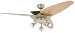 Westinghouse 7817920 Vector 52-Inch Ceiling Fan, Titanium