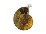 PA0949A Madagascar Ammonite Fossil Crystal Pendant