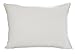 Aller-Ease Hot Water Washable Allergy Pillow,Queen, Firm