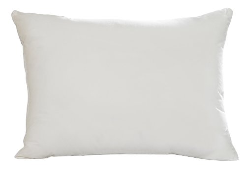 Aller-Ease Hot Water Washable Allergy Pillow,Queen, Firm