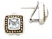 925 Silver & Blue Topaz Earrings with 14k Gold Accents