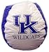 Bean Bag U Of Kentucky