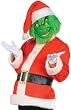 Grinch Standard Adult Costume