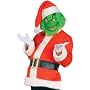 Grinch Standard Adult Costume