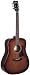 HOHNER HW300 Countryman Mahogany Dreadnought Guitar