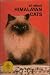 all About Himalayan Cats