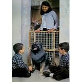 Safety Gate with Wood Frame - White - 26 in. to 42 in.