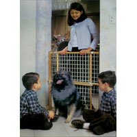 Four Paws Wood Frame Wire Mesh Pressure Gate