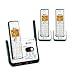 AT&T Digital Cordless Telephone System