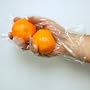 Disposable Food Preparation Gloves - Box of 500