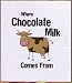 Chocolate Milk Apron (Kitchen)