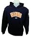 Sporting Goods : New York Islanders Hooded Youth Team Sweatshirt