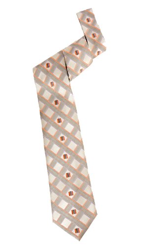 Upscale Woven Tie in champgne
