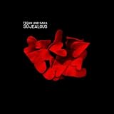 Walking With A Ghost (Album Version)