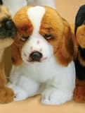 Plush Basset Hound Pup Standing 9