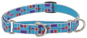 Lupine Medium Martingale Style Dog Collar - City Lights 14-20
