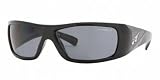 ARNETTE 4113 color 4181 Sunglasses