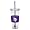 Minnesota Vikings