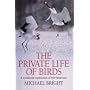 The Private Lives of Birds: A Worldwide Exploratio&hellip de Michael Bright