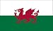 America's Flag Company FF3X5NWAL1 3-Foot by 5-Foot Nylon Wales Flag