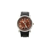 Plerre Jill Simply Brown Elegant Men Watch in Black Silicone Strap