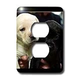 Dogs Labrador Retriever - Black and Yellow Lab Puppies - Light Switch Covers - 2 plug outlet cover