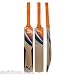 Puma Iridium GTR Kashmir Willow Cricket Bat, Short Handle, Full Adult Size Bat