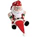 Bad to the Bone South Pole Santa Animated Xmas Toy