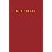 New Revised Standard Version Children's Bible- NRSV Deluxe Gift Edition