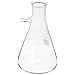 WPI CG-0089 Glass Filter Flask with 10mm Tubulation, 185mm Height, 500mL Capacity (Pack of 6)