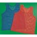 12 Childrens Mesh sports PINNIES