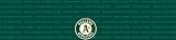 Oakland Athletics Team Auto Visor Decal