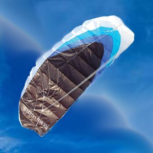 Childrens Toyshop  Toys : Storm 2.1 Power Kite With Control Bar