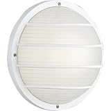Progress Lighting P5703-30 Polycarbonate Light Mounted On Walls Or Ceilings Indoors or Outdoors with No Color Fade, White