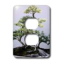 Trees - Bonsai Tree - Light Switch Covers - 2 plug outlet cover