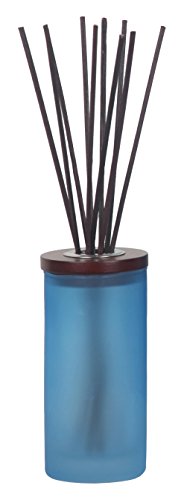 Chesapeake Bay Candle Mind & Body Collection Reed Diffuser, Confidence + Freedom