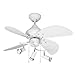 Litex Tr30mww4lk3 Tr-3000 30-inch Remote Control Adaptable Four-blade Ceiling Fan, Matte White With Spotlight Kit