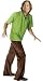 Adult Shaggy (Scooby Doo) Men's Costume Adult Halloween Outfit - Standard Jacket Size up to 44