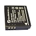 Batterie pour LEICA D-Lux 4, 3.7V, 1250mAh, Li-ion