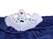 Flashing Tiara with Costume Jewels Image