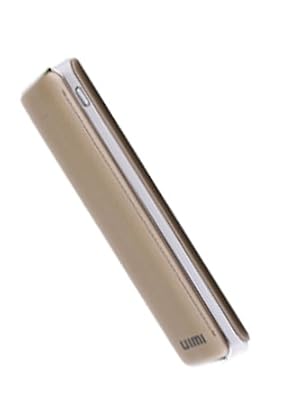 UIMI U8 Power Bank with Torch External Battery Pack With LED Torch 15600 mAh (Gold) 