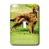 Dogs Irish Setter - Irish Setter - Light Switch Covers - single toggle switch
