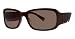 COACH LEXI S493 (600) Burgundy/Burgundy Gradient Sunglasses, 56-18-125