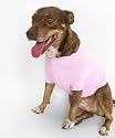 American Apparel Baby Rib Dog T-shirt