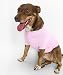 American Apparel Baby Rib Dog T-shirt